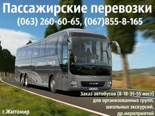 Пассажирские перевозки по Житомиру, Украине! 8-18-33-50-79 м