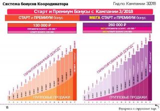 Работа. Стань представителем или координатором-лидером групп Фото 2