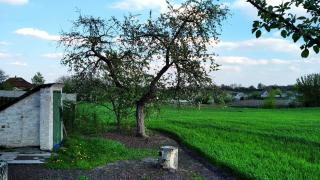 Продам будинок в селі Лосятин, Київської області Фото 2