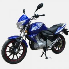 Мотоцикл Spark SP150R-23 Фото 2