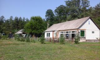 Продам дом в с. Березки Фото 2