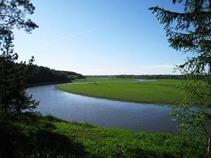 Участок земли в курортной зоне Можайского района Фото 2