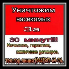 Уничтожение вредных насекомых, грызунов Фото 2