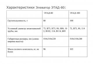 Элеватор ЭТАД-80 от производителя Фото 4