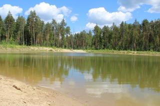 Продаю 12 соток в ДП Ефимовский лес Фото 2