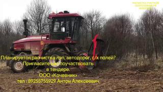 Услуги и аренда мульчера дробилки веток Фото 4