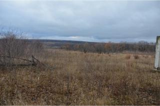 Участок в Циркунах Фото 3