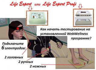 Life Expert и два Life Balance - нет коронавирусу|Кешбэк 10% Фото 4