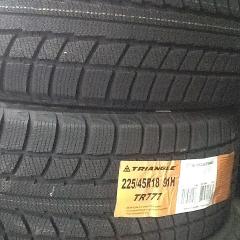 Зимние шины 225/45 R18 (91H) TRIANGLE Фото 3