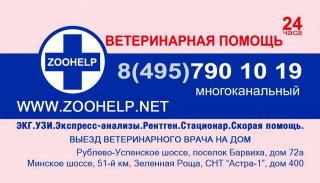 Ветклиника Zoohelp Фото 2