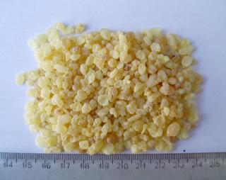 We export Mastic Gum from Iran
