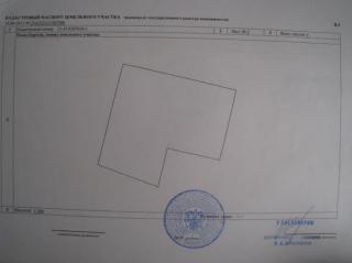 Продаю отдельностоящее здание, ЦМР, ул.Фрунзе Фото 3