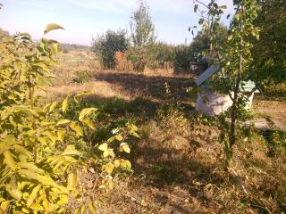 Продам дом в Б.Рогани Фото 3