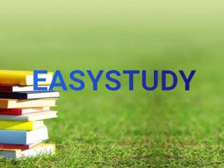 Автор курсових робіт в EasyStudy