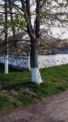 Продам Шикарный загородный дом Фото 3