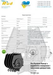 Піч Pyrotron Кантрі з варильною поверхнею і чавунними дверця Фото 3