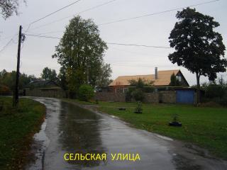 Участок 18сот (ИЖС) Фото 3