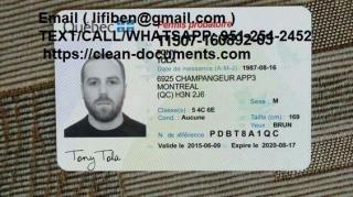 ID cards, stamps, Visa, school Diplomas Фото 4