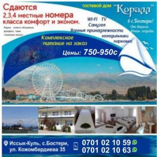 Гостевой дом "Коралл" в с. Бостери!