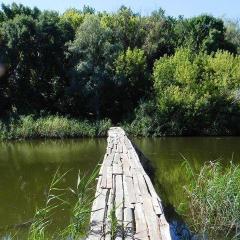 Продам дом в курортном уголке Днепропетровщины Фото 3