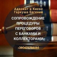 Адвокат у Києві. Консультація адвоката Фото 3