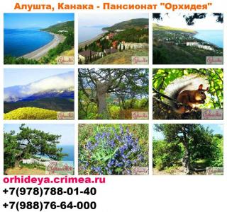 Снять жилье Алушта Канака у моря эконом Фото 4