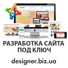 Заказать сайт под ключ от 2500 грн. за 10 дней Фото 3