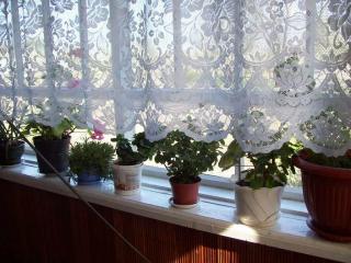 Продам дом 1983г. белый кирпич.  высокый цоколь.добротный Фото 3