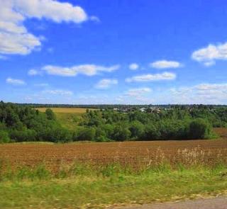 10 соток в живописном месте. Новорижское шоссе. Газ: централ Фото 4