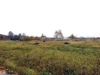 Продается земельный участок в с. Новопетровское Истринского  Фото 4
