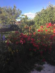 Добротный дом на Барановке Фото 2