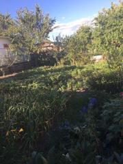 Добротный дом на Барановке Фото 3