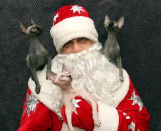 Канадские марсианчики, девочки и мальчики Фото 4