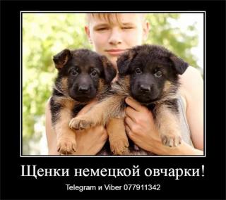 Давно ищете друга? Тогда вам точно к нам Фото 3