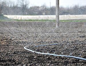 Шланг Туман (Golden Spray) опт крупный опт Фото 2