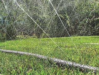 Шланг Туман (Golden Spray) опт крупный опт Фото 4