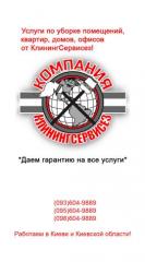 Уборка квартиры КлинингСервисез,  Святопетровское (Петровско Фото 3