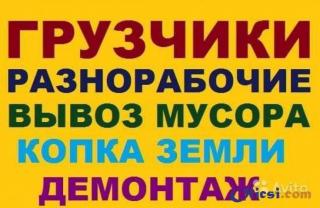 Демонтаж, земляные, спил, уборка, вывоз мусора, подъем  Одес