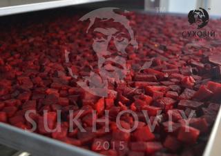 Инфракрасная сушильная камера для продуктов питания Sukhoviy Фото 4