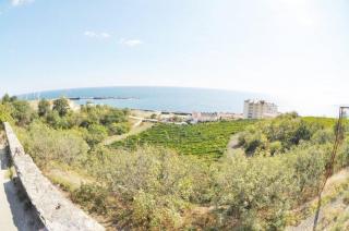 Участок у моря Ялта Крым Фото 2