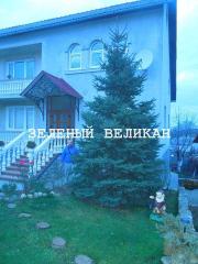 Ландшафтный дизайн - лучшие идеи, разные стили Фото 2