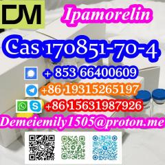 Ipamorelin CAS 170851-70-4 Фото 2