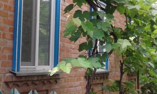Продаётся дом Фото 3