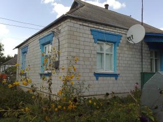 Терміново продається будинок Фото 3