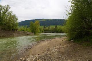 Участок 80 соток на берегу реки, Карпаты Фото 3