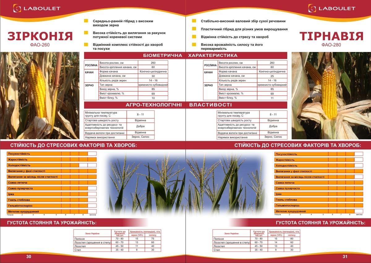 Мотоблока агрос. Сельское хозяйство румынии. Посевной комплекс фиат виктория. Мотоблок мтз агрос. Мотоблок агро агрос.