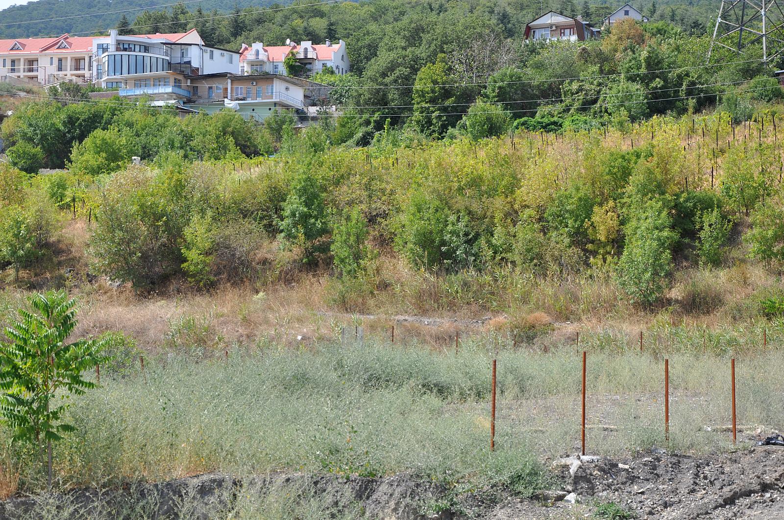 Участок в крыму. Участок в Гурзуфе. Земельные участки в Гурзуфе. Гурзуф линейное земельный участок.